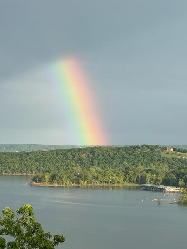 59 Bucks Summit Trail, Shell Knob, MO 65747 - photo 5