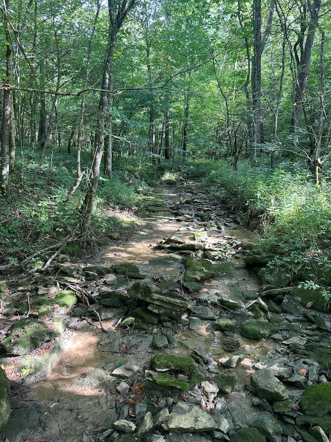 781 Apple Ln, Cynthiana, KY 41031 - photo 2