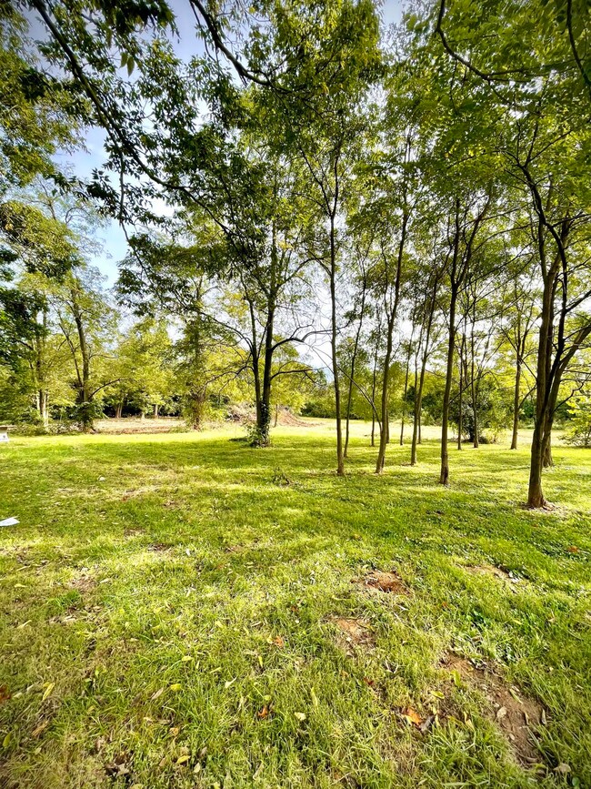 194 Mulberry St, Harrodsburg, KY 40330 - photo 4