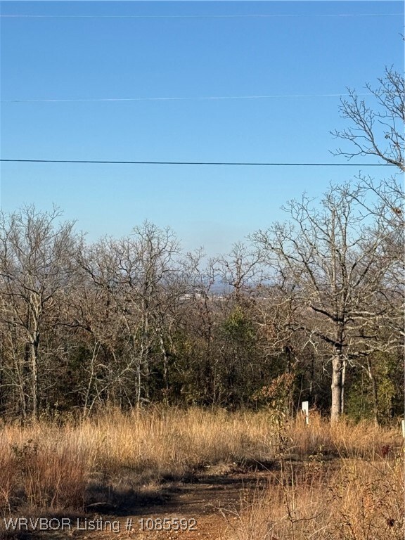 TBD E 1115, Sallisaw, OK 74955 - photo 4