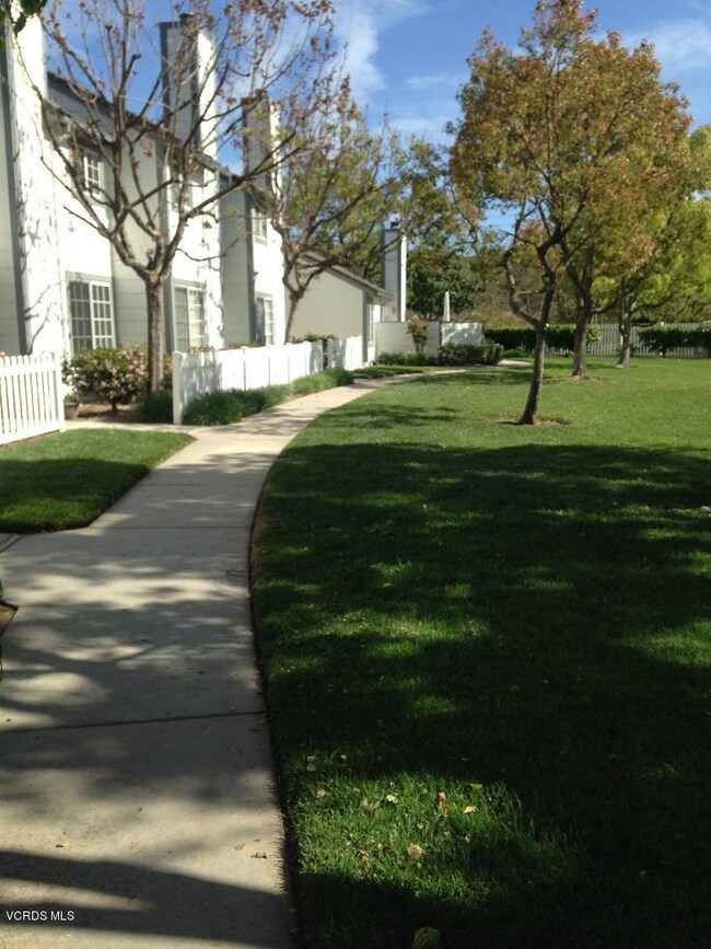 Grounds