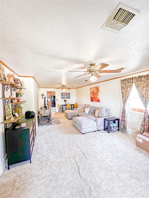 Living room featuring carpet and a textured ceilin