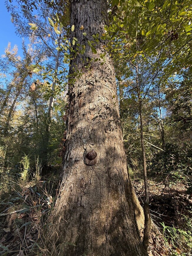 0 Highway 19 unit 25580670, Kosciusko, MS 39090 - photo 4