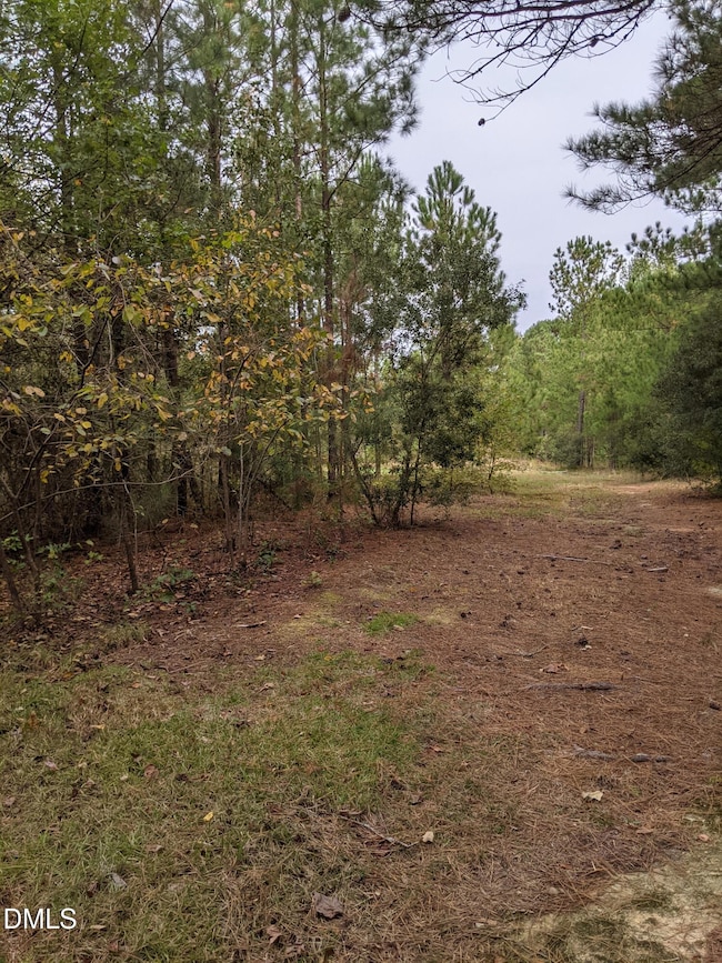 0 E Governor Brandon St, Anderson Creek, NC 28390 - photo 4