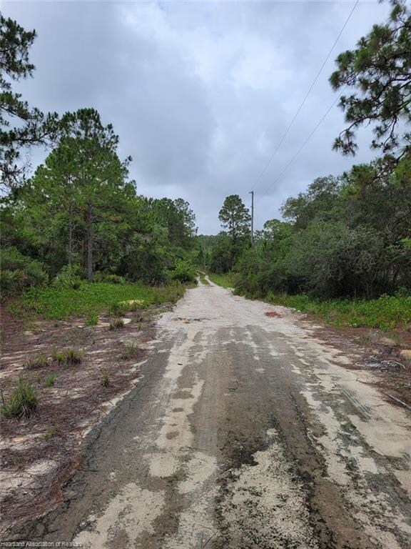 215 Fascination Dr, Lake Placid, FL 33852 - photo 3