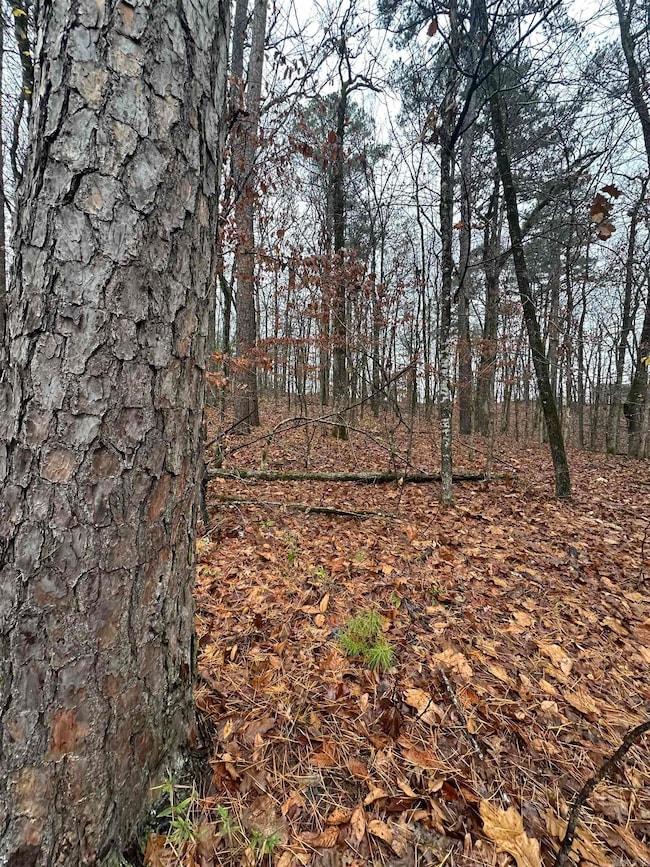 TBD Dogwood, Tull, AR 72015 - photo 7