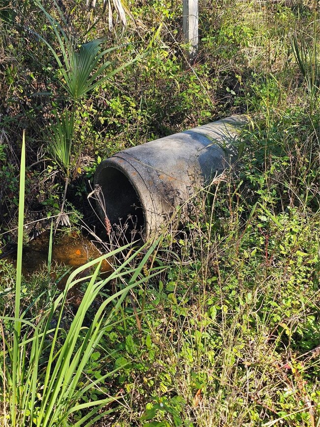 786 Fort Florida Rd, Debary, FL 32713 - photo 5