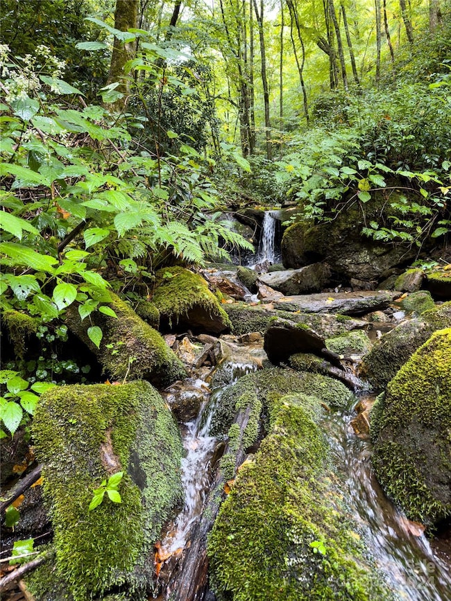 Lot 59 Black Rock Rd unit 59, Cherokee, NC 28719 - photo 2