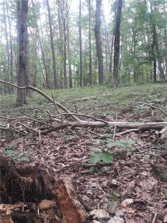 0 Mulberry Cir unit 7660881, Jasper, GA 30143 - photo 3