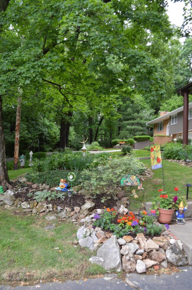 flower bed