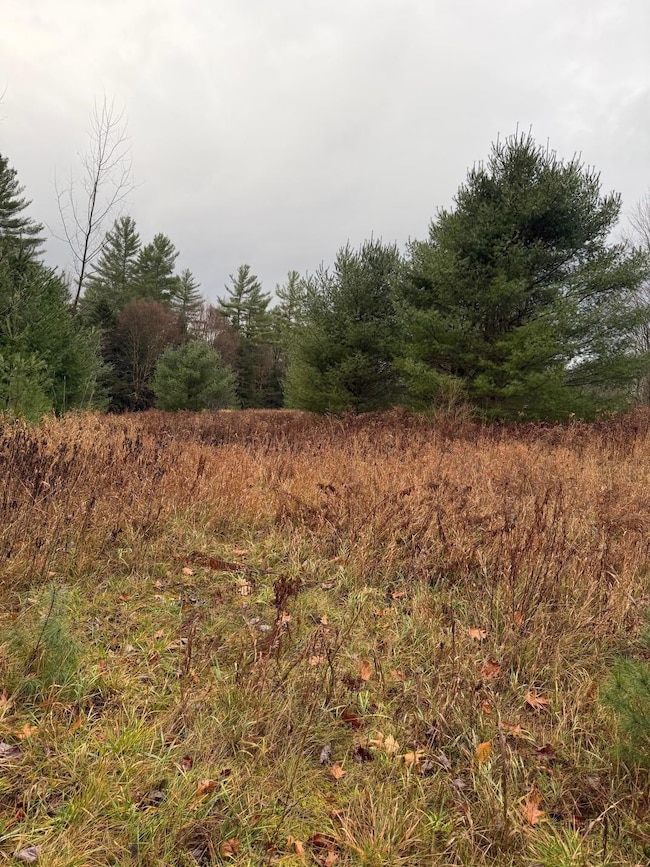 416 N Cambridge Rd, Cambridge, VT 05444 - photo 3