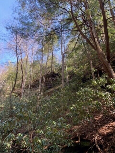 hillside