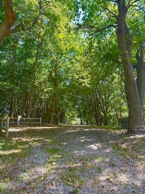 2 Goddard Dr, Nahant, MA 01908 - photo 6