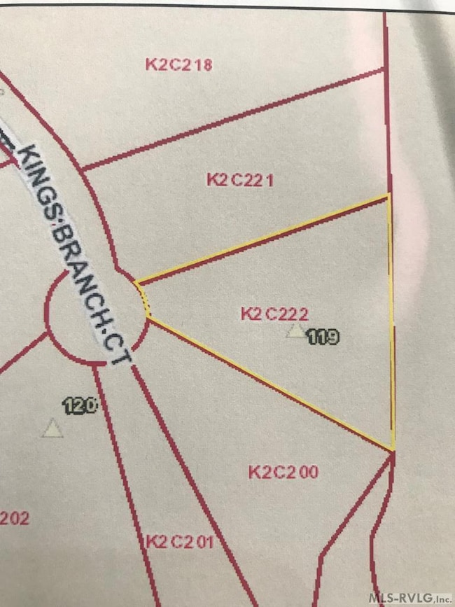 119 Kings Branch Ct, Littleton, NC 27850 - photo 2