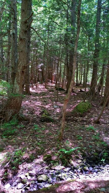 meandering brook and rock wall