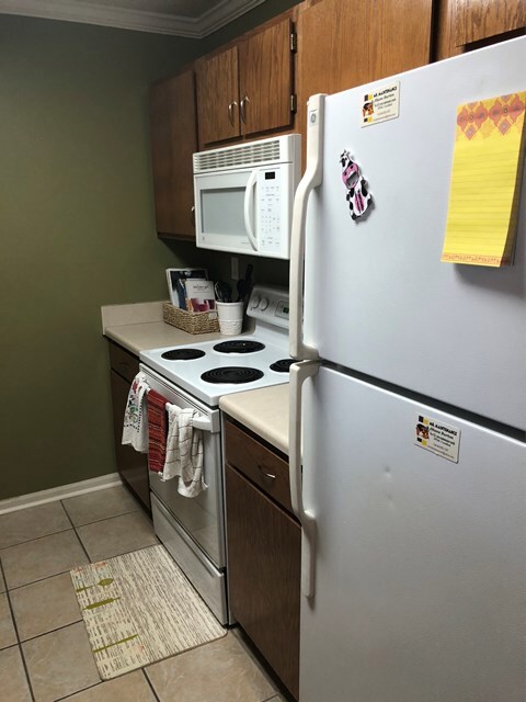 1706 Private Road 3057, Oxford, MS 38655 - photo 4