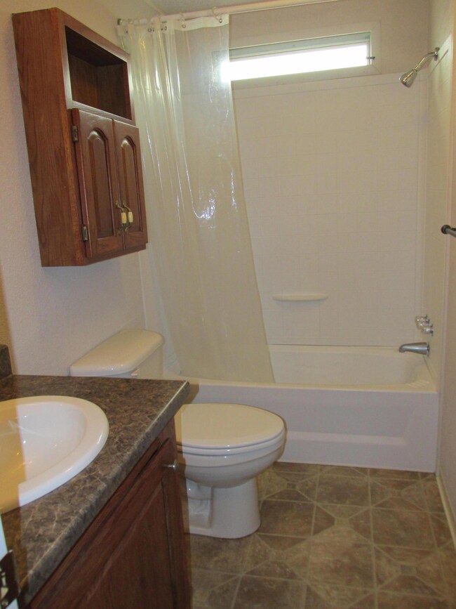 Hall bathroom