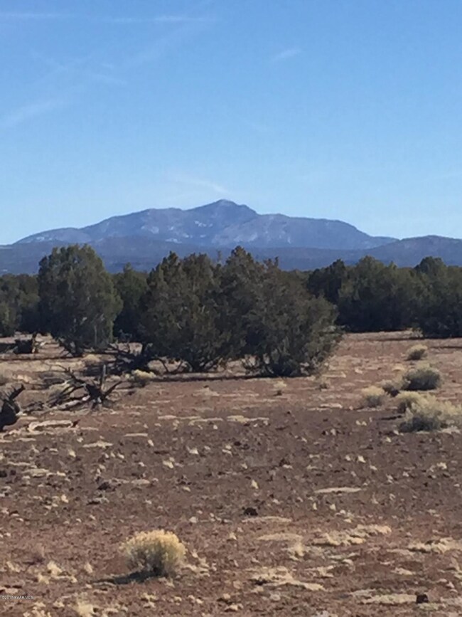 249 Juniperwood Ranch, Ash Fork, AZ 86320 - photo 3