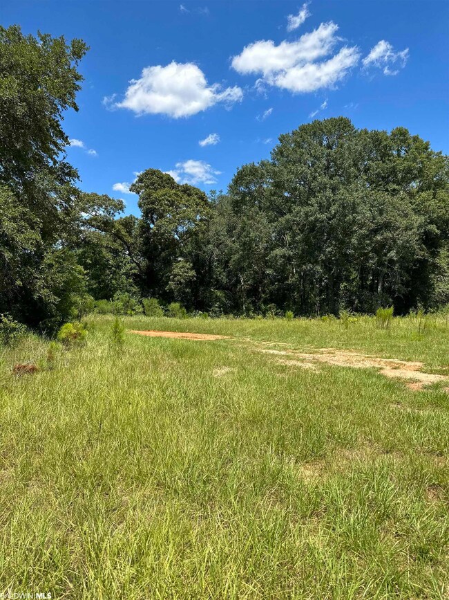 0 Hampton Ridge Ct unit Lot 50 351764, Mobile, AL 36608 - photo 7