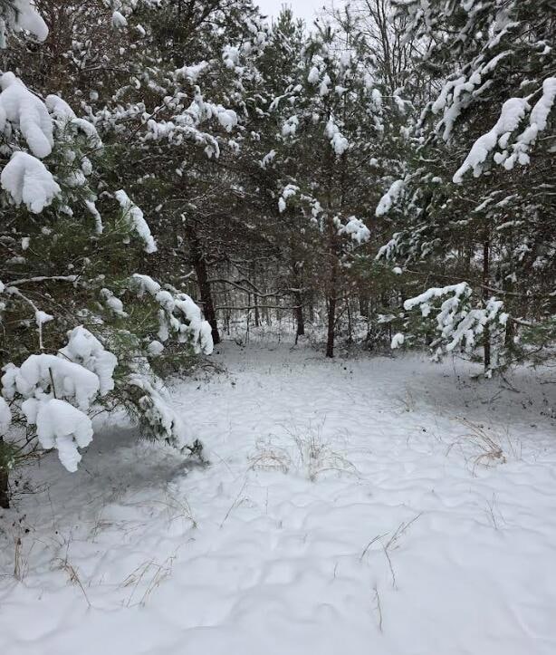 V/L 11th St, Plainwell, MI 49080 - photo 7