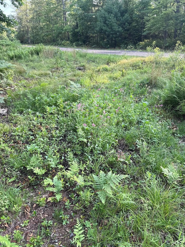 529 Lucas Ridge Rd, Snow Shoe, PA 16874 - photo 3