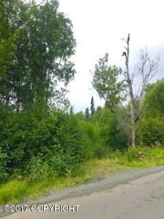 4050 Virgo Ave, Anchorage, AK 99516 - photo 2