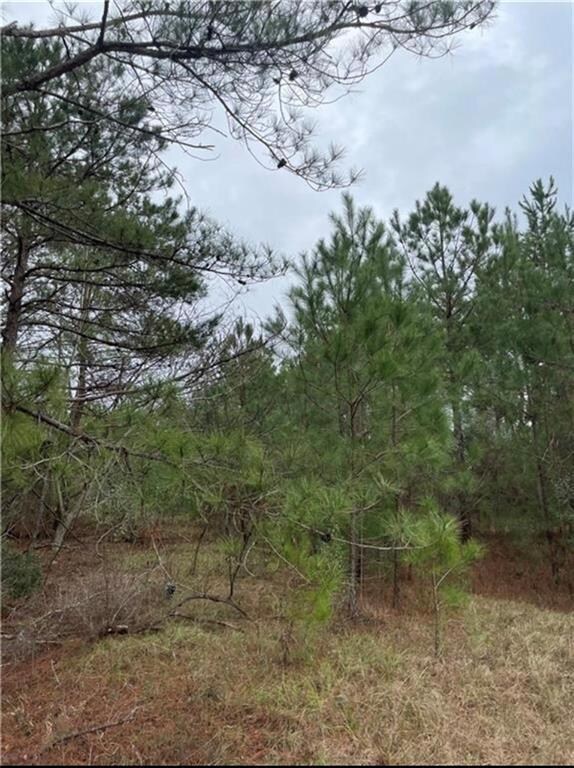 3921 S Highway 431, Phenix City, AL 36869 - photo 5