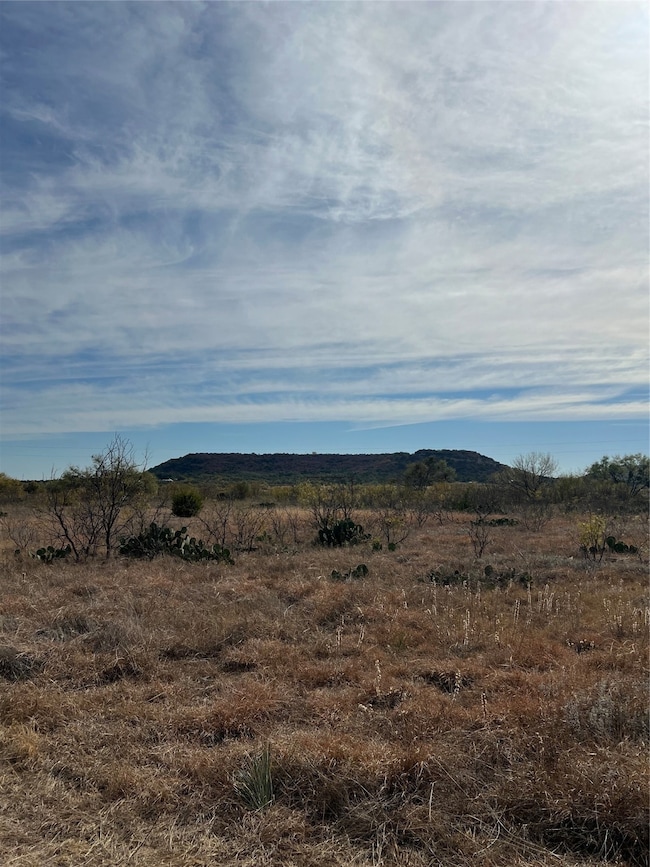 TBD Mathews Sur 52, Santa Anna, TX 76878 - photo 7