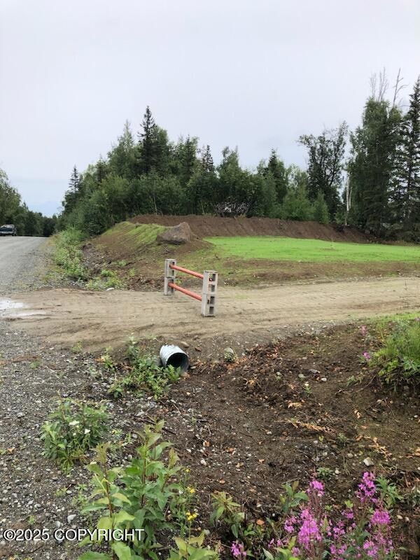 17562 W Bluebill Ave, Wasilla, AK 99623 - photo 4
