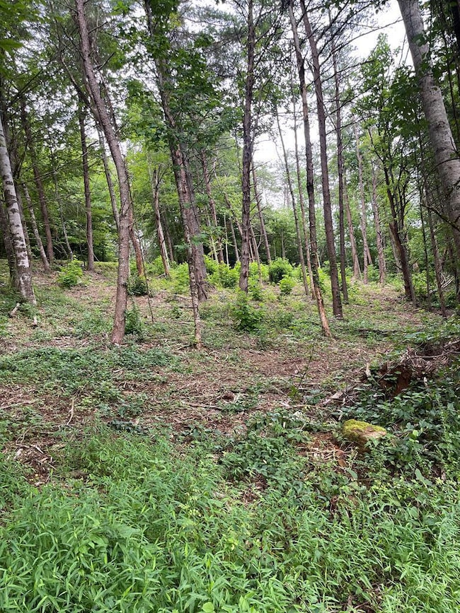 00 Jacobs Mountain Rd, Franklin, NC 28734 - photo 2