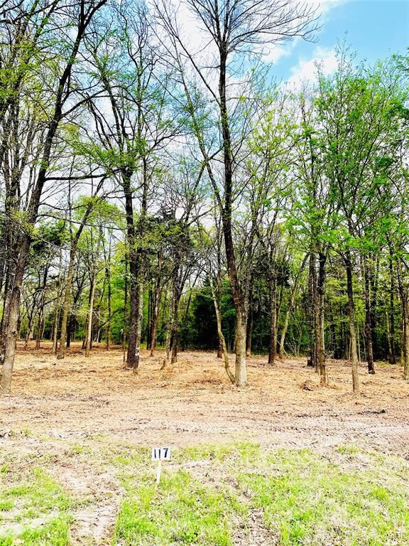 LOT 117 Watersedge Dr Bs# A37, Corsicana, TX 75109 - photo 3