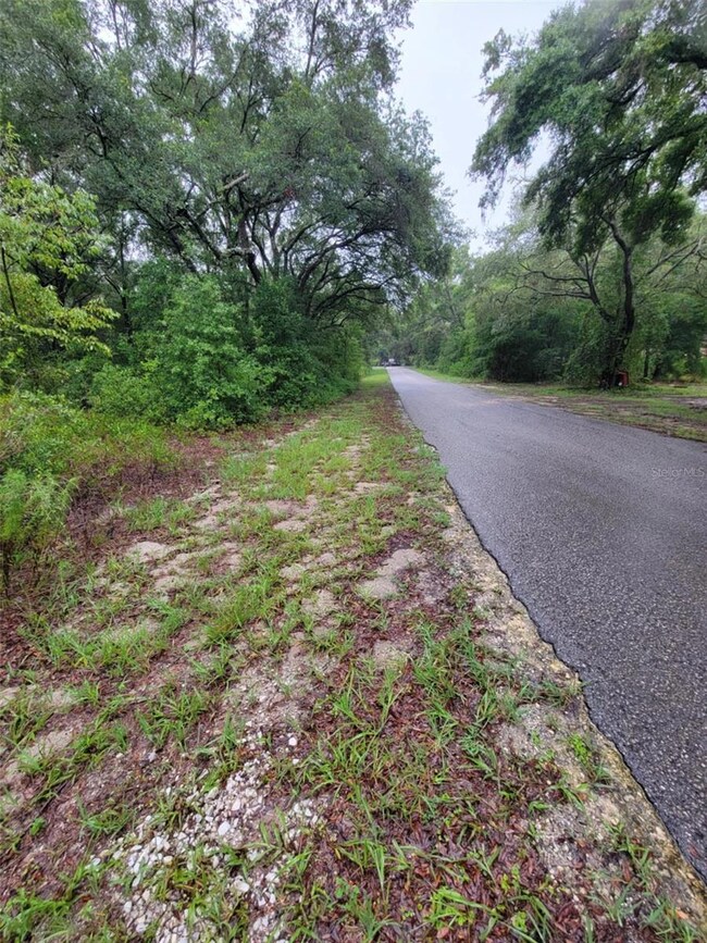 0 SW Driftwood Ct unit MFROM704647, Dunnellon, FL 34431 - photo 4