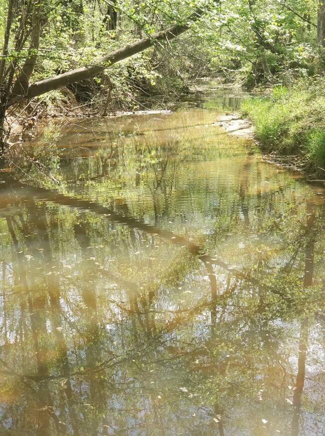 1920 Loco Church Rd, Lincolnton, GA 30817 - photo 3