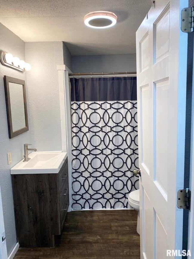 230 N Marnico Ln, Jacksonville, IL 62650 - photo 4