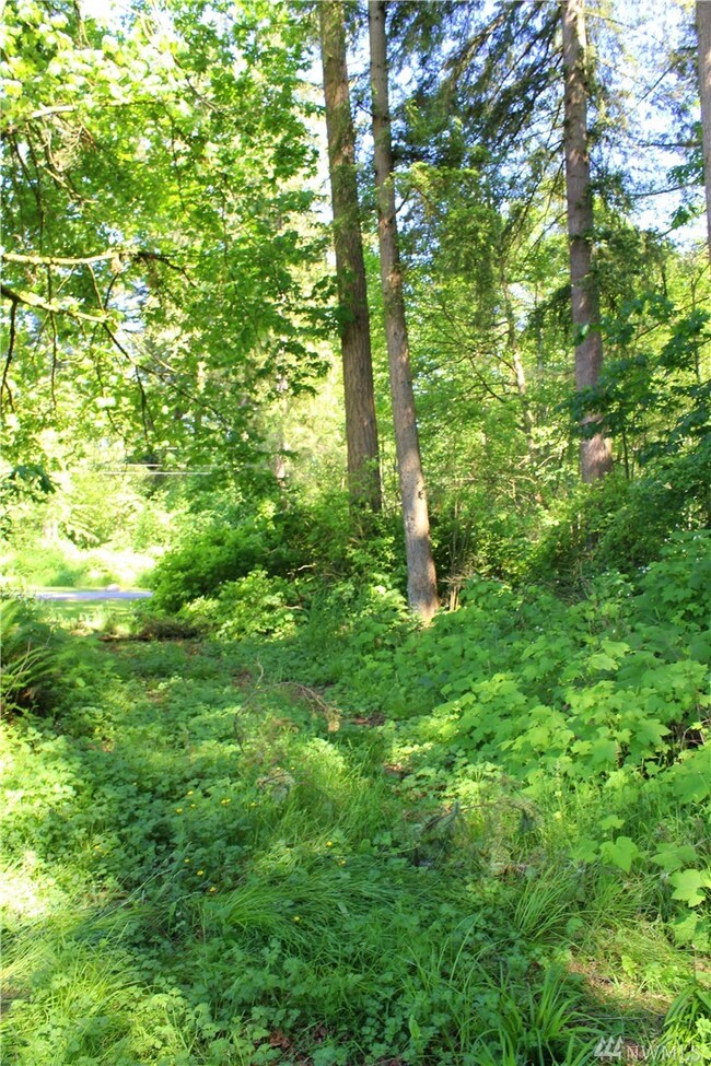 1018 Silver Springs Way, Stanwood, WA 98292 - photo 4