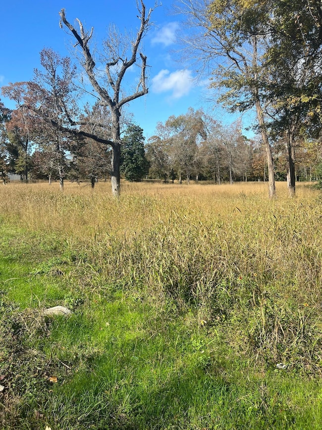 0 S Houston Ave, Livingston, TX 77351 - photo 6