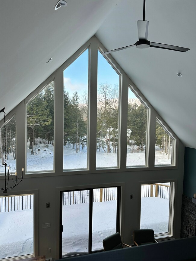You can see Okemo's ski trails through the trees