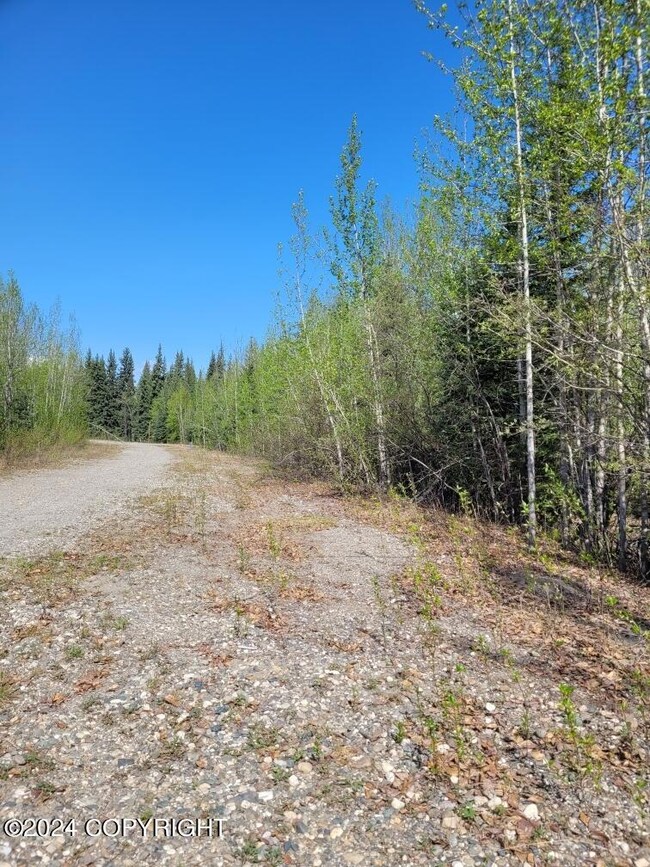 nhn Badger Rd, North Pole, AK 99705 - photo 7