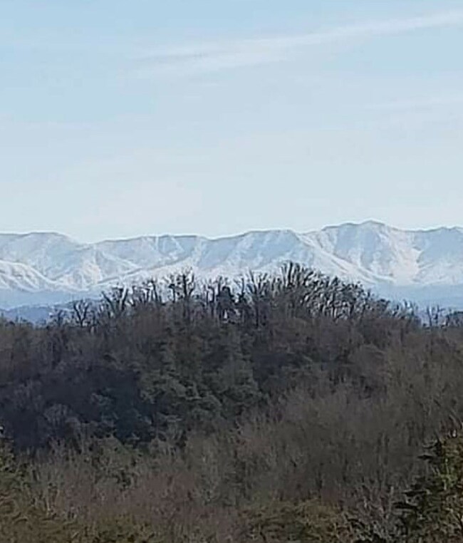 Snowy Mountain view