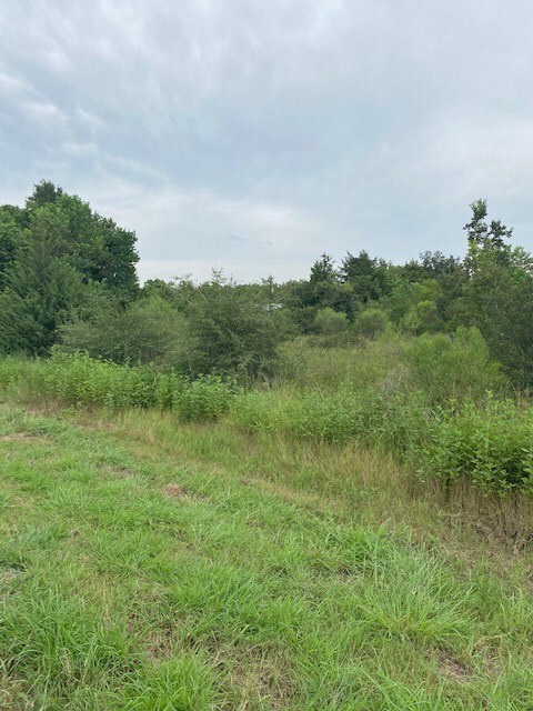 TBD Megan Dr, Fairchilds, TX 77461 - photo 3