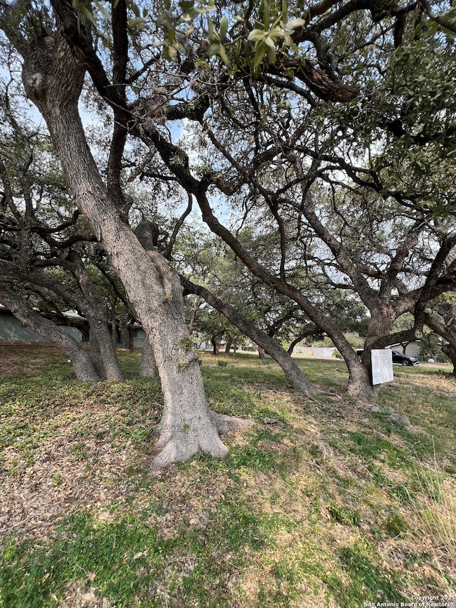 11811 Orsinger Ln, San Antonio, TX 78230 - photo 6