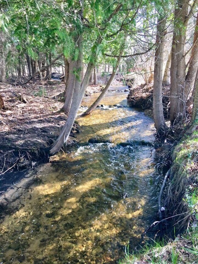 Beebe Creek