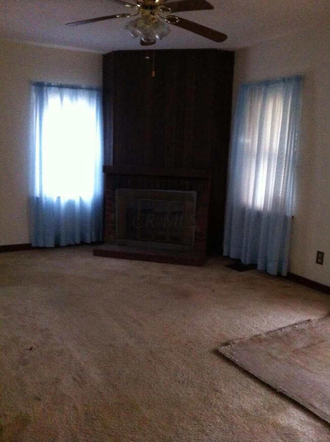 wood burning fireplace