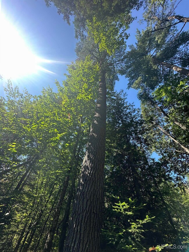 Off Indian Lake Rd, Michigamme, MI 49861 - photo 7