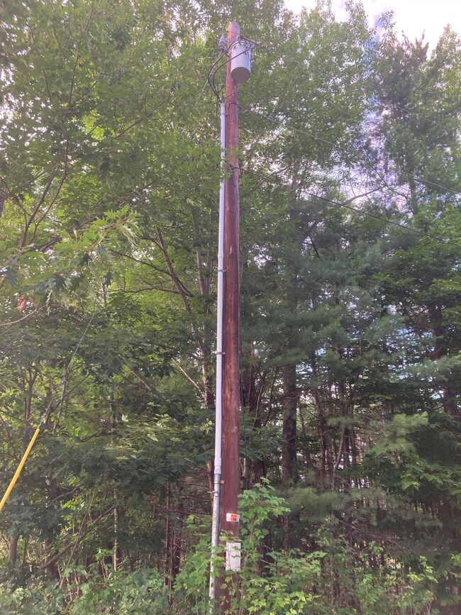 Utility_Pole_on_Isaac_Stevens_Road