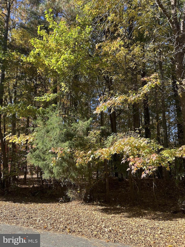 14925 Abelia Ct, Swan Point, MD 20645 - photo 2