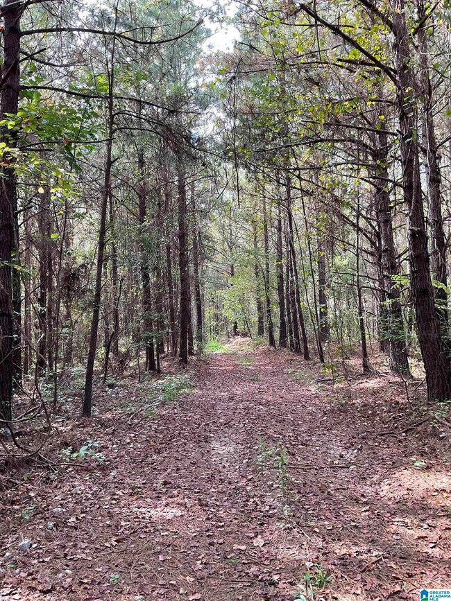 0 County Road 253 unit 10010200000008000, Clanton, AL 35046 - photo 5