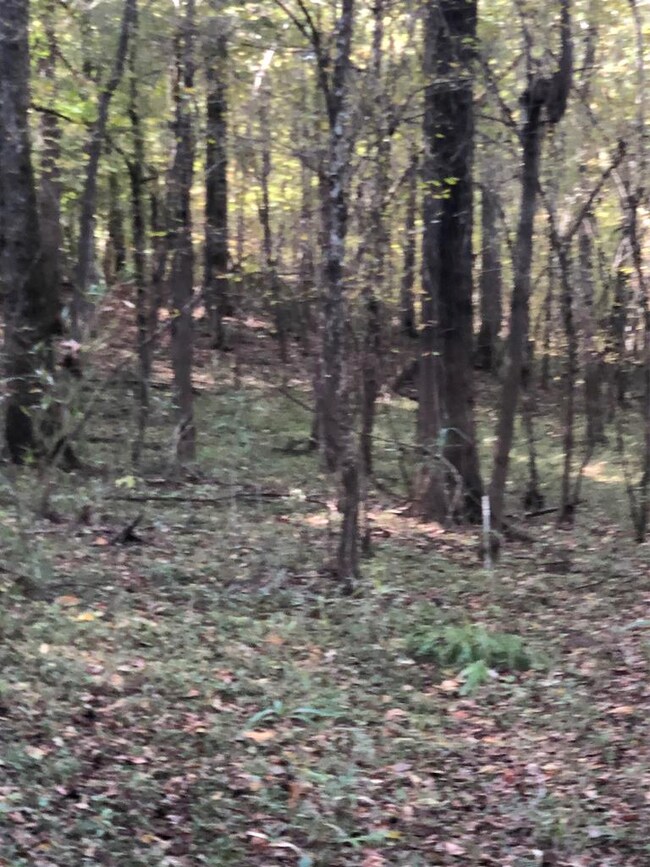 Hardwoods