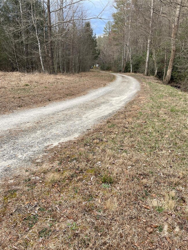 Old 421 Boone Trail, Purlear, NC 28665 - photo 2