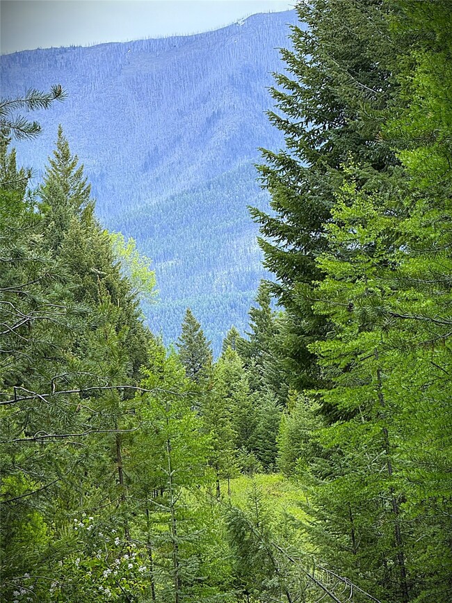 NHN Lagoon Dr, Trego, MT 59934 - photo 6